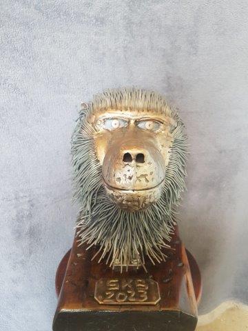 Baboon. "The wise one" Baboon. "The wise one"